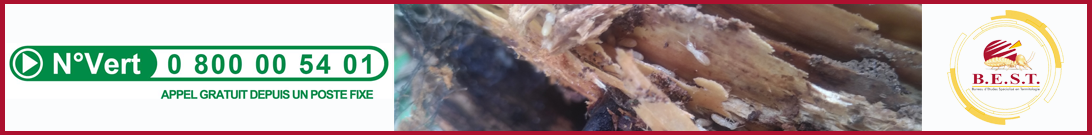Best termites Agen traitement termites PUB