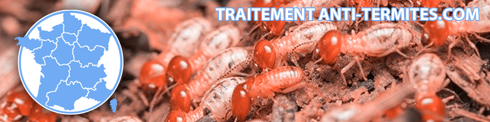 Traitement anti-termites: L'annuaite des traiteurs anti-termites et insectes à larves xylophages