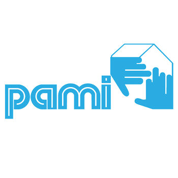 Traitement termites toulouse PAMI